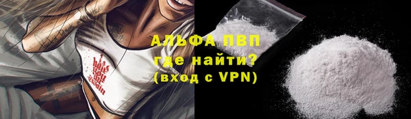 гашик Бородино