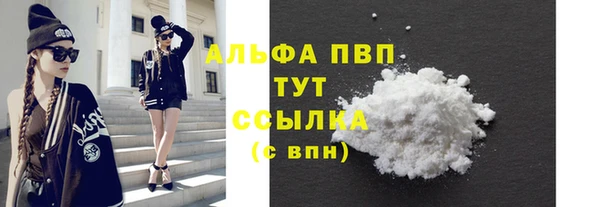 индика Бугульма