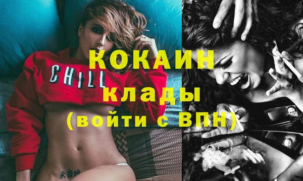 гашик Бородино