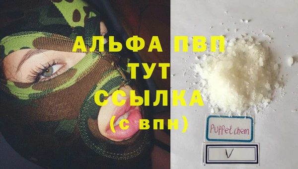 стаф Кондопога