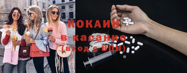 индика Бугульма