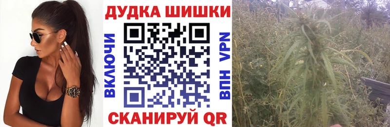 Шишки марихуана конопля Минеральные Воды